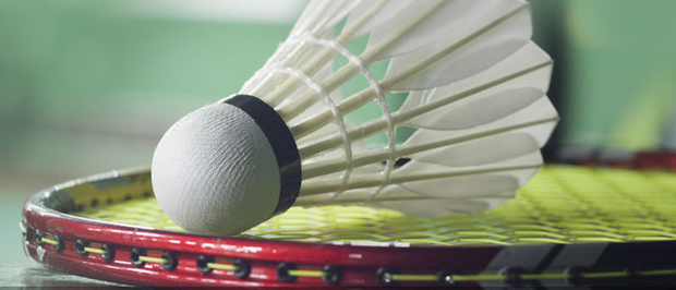 维斯的护筐 维斯的护筐